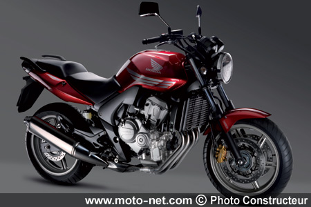 CBF600 - Nouveautés Honda 2008 sur Moto-Net.Com