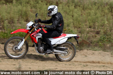 Test Honda CRF 250 L : un petit trail au pays des grands
