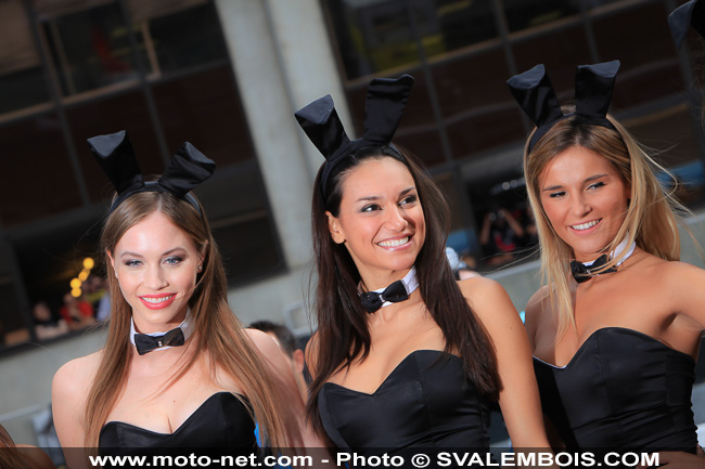 Galerie photos 24H Moto du Mans 2014 : 04 - grille de départ et Playboy girls