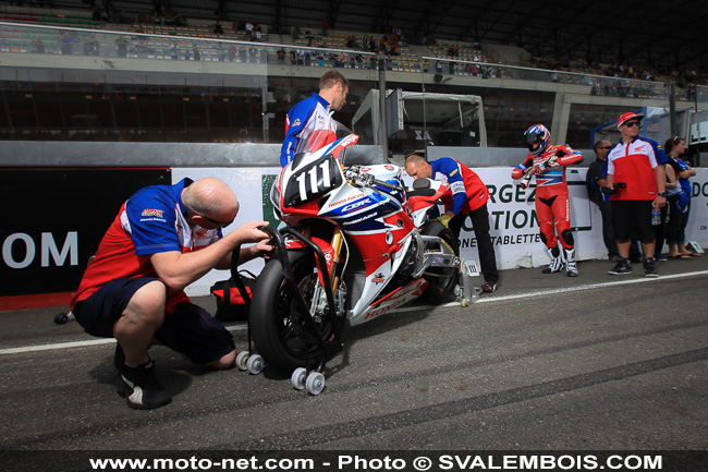 Galerie photos 24H Moto du Mans 2014 : 04 - grille de départ et Playboy girls