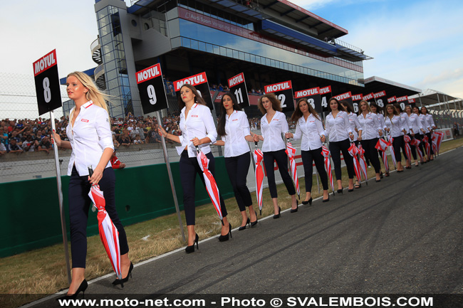Galerie photos 24H Moto du Mans 2014 : 04 - grille de départ et Playboy girls