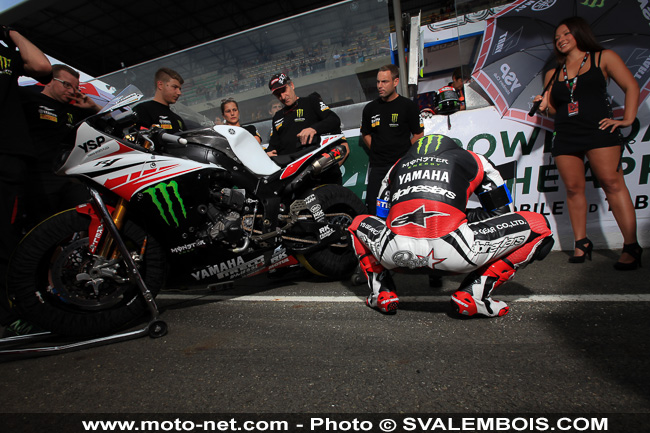 Galerie photos 24H Moto du Mans 2014 : 04 - grille de départ et Playboy girls