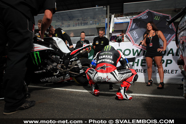 Galerie photos 24H Moto du Mans 2014 : 04 - grille de départ et Playboy girls