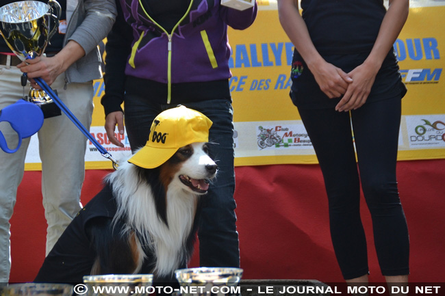 Dark Dog Rallye Moto Tour : Filleton fait la razzia au Beaujolais !