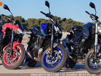 Hornet 750 Vs MT-07 Vs Z650 : le bilan de notre comparatif en vidéo