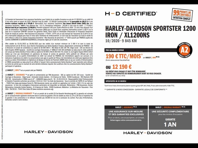 HARLEY-DAVIDSON 1200 SPORSTER IRON 1200 XL1200NS