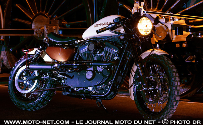 Préparation Harley-Davidson Mulhouse : Roadster Desert Storm