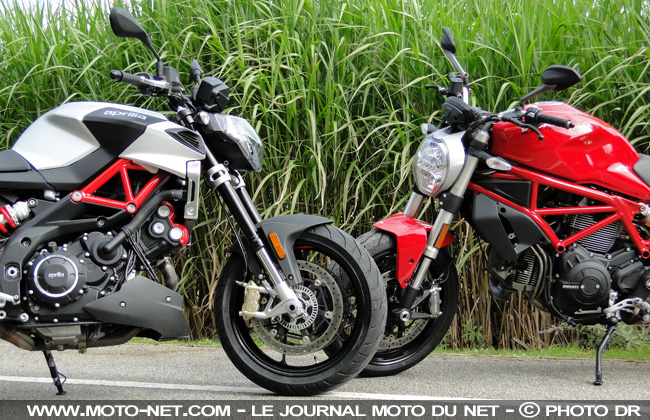  Duel Shiver 900 Vs Monster 797 : roadster sauce vénitienne ou bolognaise ? 