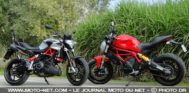  Duel Shiver 900 Vs Monster 797 : roadster sauce vénitienne ou bolognaise ? 