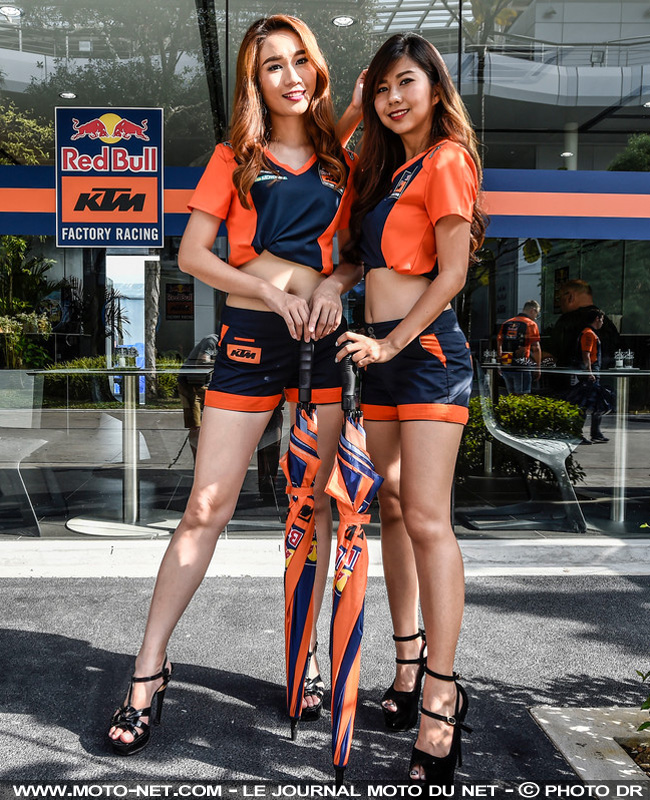 Les umbrella girls les plus sexy du GP de Malaisie MotoGP