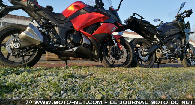 Yamaha Ses Vs Xs Yamaha Ses Vs Xs
