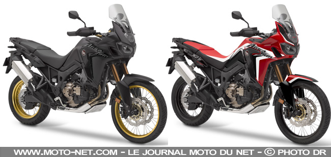 Duel Africa Twin Vs V85 TT : la référence Honda ou le renouveau Guzzi ?