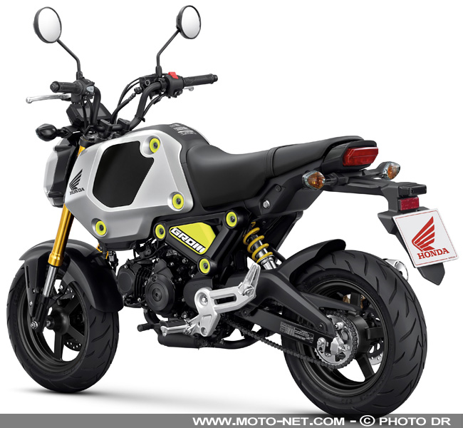  Honda MSX125 Grom : mini moto, maxi succès et gros taro 