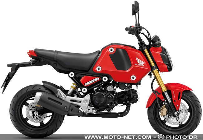  Honda MSX125 Grom : mini moto, maxi succès et gros taro 