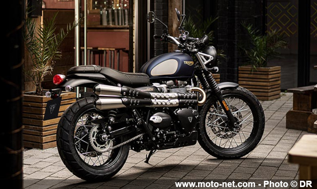  Gold Line Edition : Triumph enrichit sa gamme Modern Classics en 2022