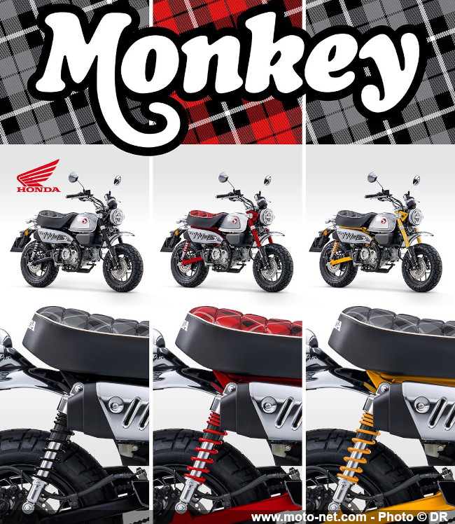 Nouveaux coloris pour les Honda CB1000R, CMX500 Rebel et Monkey en 2023