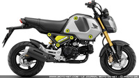 Honda MSX125 Grom : mini moto, maxi succès et gros taro 