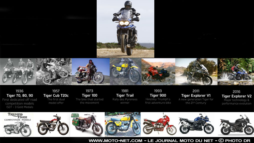 Rétrospective moto : les Triumph Tiger de 1936 à 2018