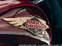 Séries limitées et quelques nouveautés chez Harley