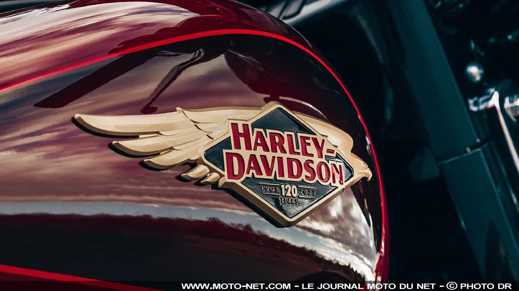 Séries limitées et quelques nouveautés pour les 120 ans de Harley-Davidson

Harley-Davidson entame les festivités de ses 120 ans avec sept motos édition anniversaire et des évolutions sur la Nightster, le revenant Breakout et le trois-roues Freewheeler. D'autres nouveautés sont attendues, dont la deuxième moto électrique déjà branchée aux États-Unis.
