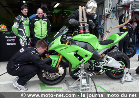 Le SERT ne disputera pas le mondial d'Endurance 2009 !