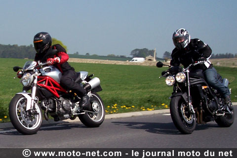 Face à face à l'européenne : le nouveau Ducati Monster défie la Triumph Speed Triple !