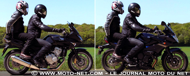 Face à face CBF 600 S / XJ6 Diversion : les basiques contre-attaquent