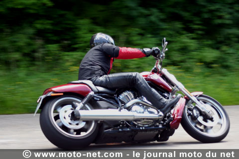 Essai V-Rod Muscle : Harley-Davidson exhibe le(s) Muscle(s) !