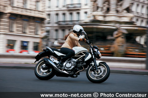 Suzuki 650 Gladius
