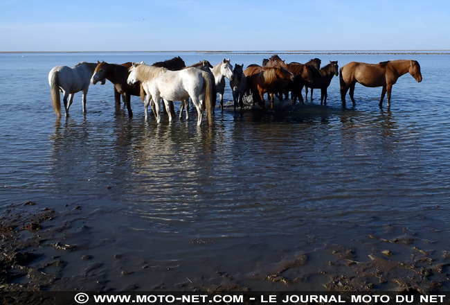 Voyage en terres nomades (08) : bloqué à Astana (Kazakhstan)...