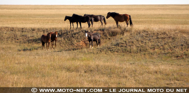 Voyage en terres nomades (07) : la mer d'Aral asséchée