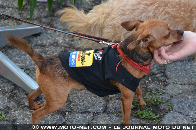 Dark Dog Moto Tour 2012 (J7) : enfin sous le soleil !