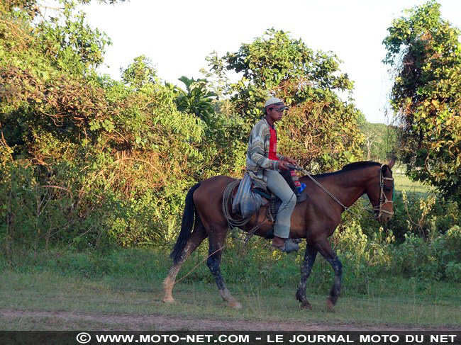 Amérique latine à moto (05) : dauphins, piranhas et caïmans...