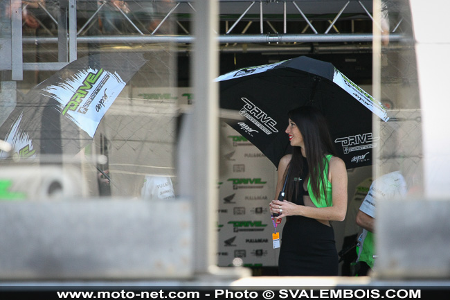 Galerie photo GP de France 2014 : sexy girls !