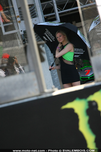 Galerie photo GP de France 2014 : sexy girls !