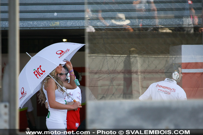 Galerie photo GP de France 2014 : sexy girls !