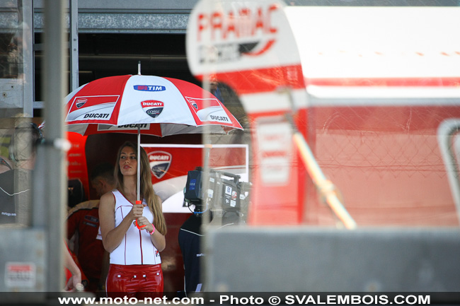 Galerie photo GP de France 2014 : sexy girls !