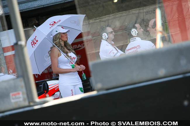 Galerie photo GP de France 2014 : sexy girls !