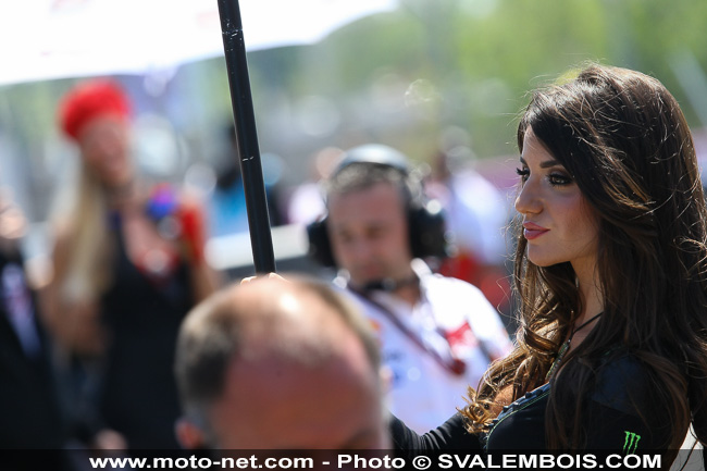 Galerie photo GP de France 2014 : sexy girls !