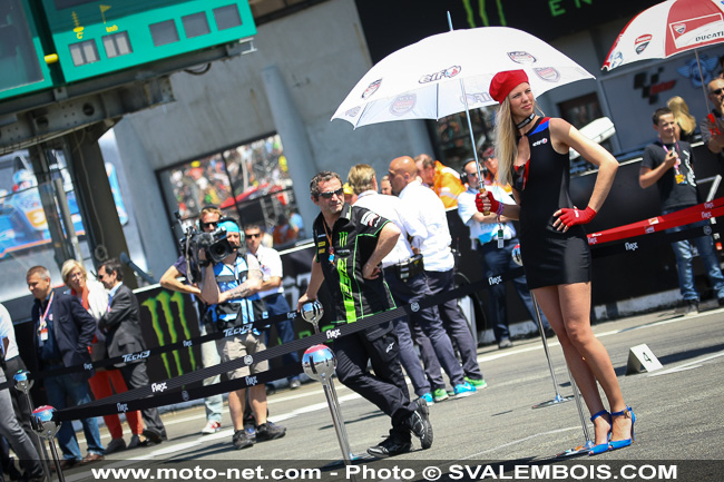 Galerie photo GP de France 2014 : sexy girls !