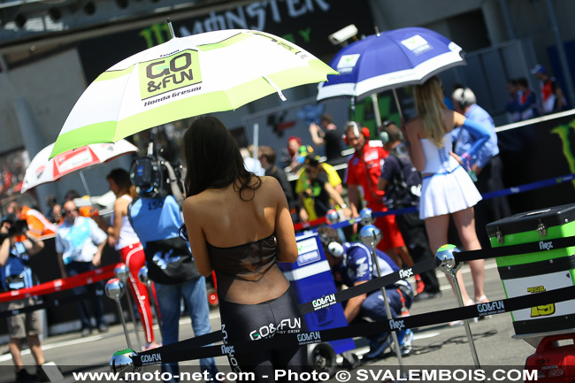 Galerie photo GP de France 2014 : sexy girls !