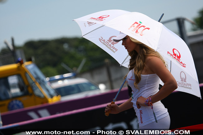 Galerie photo GP de France 2014 : sexy girls !