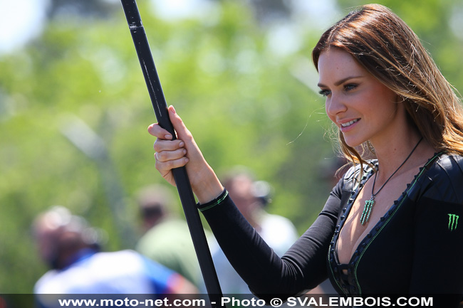 Galerie photo GP de France 2014 : sexy girls !