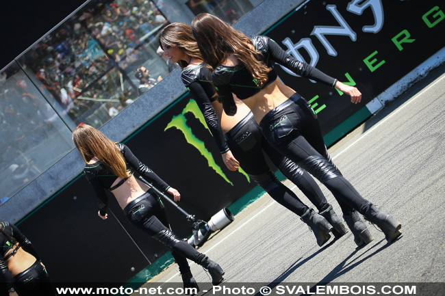 Galerie photo GP de France 2014 : sexy girls !