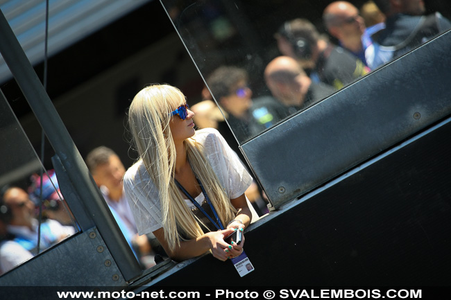 Galerie photo GP de France 2014 : sexy girls !