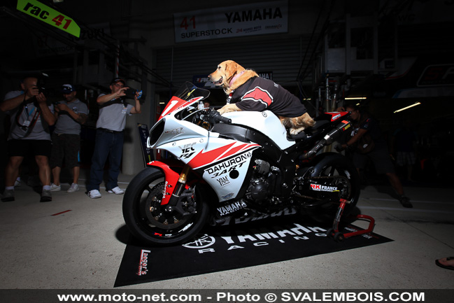 Galerie photos 24H Moto du Mans 2014 : 01 - visite des stands
