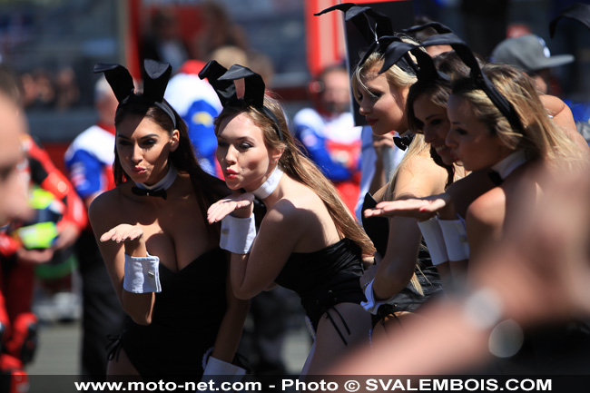 24H Motos 2015 - Galerie photos 03 : sexy girls