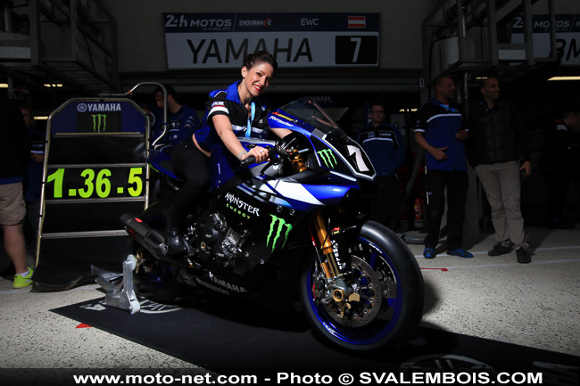 24H Motos 2015 - Galerie photos 03 : sexy girls
