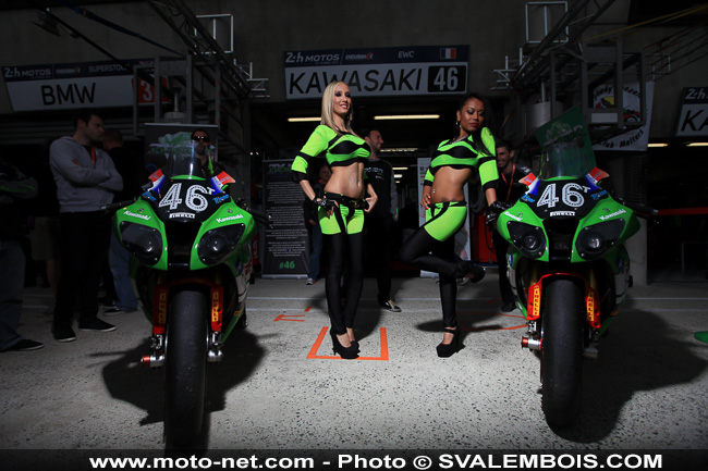 24H Motos 2015 - Galerie photos 03 : sexy girls