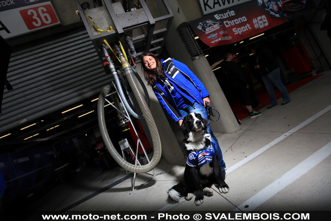 24H Motos 2015 - Galerie photos 03 : sexy girls